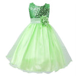 Baby Sequin Princess Dress Flower Girl Wedding Dress Elegant Toddler Party Dress for Girls