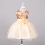 Baby Sequin Princess Dress Flower Girl Wedding Dress Elegant Toddler Party Dress for Girls