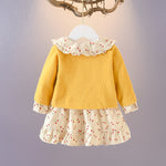 Baby Girl Autumn Clothing Suit Cotton Long Sleeve Skirt Set Korean Style Spring & Fall Outfit